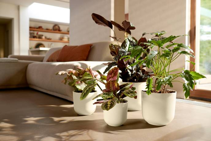 jazz rond 30cm blanc soie